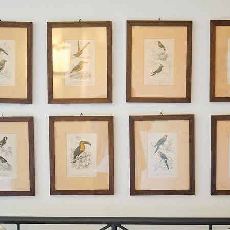 Apartmán Il Nespolo Di Campopisano Janov Exteriér fotografie